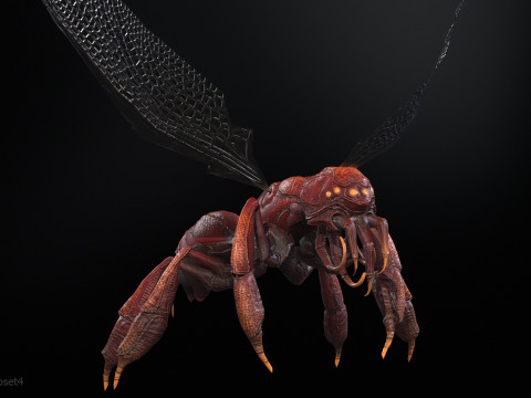 SpiderOsa 3Dモデル