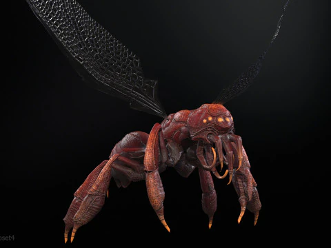 &Ouml;r&uuml;mcekOsa 3D Model