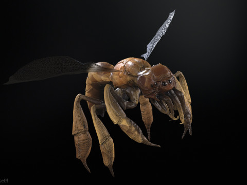 SpiderOsa Model 3D