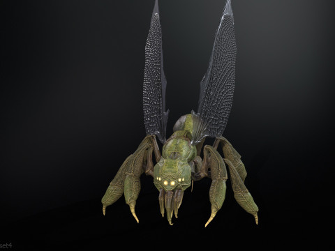 SpiderOsa Model 3D