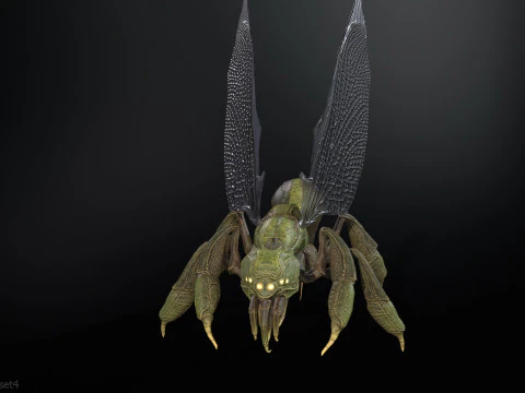 SpiderOsa 3D Model