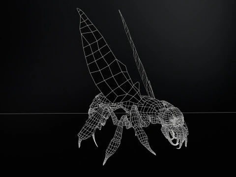 SpiderOsa 3D Model