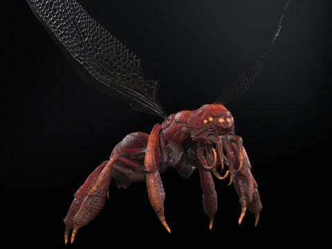 SpiderOsa 3D Model