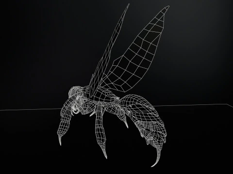 SpiderOsa 3D Model