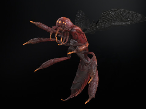 SpiderOsa Model 3D