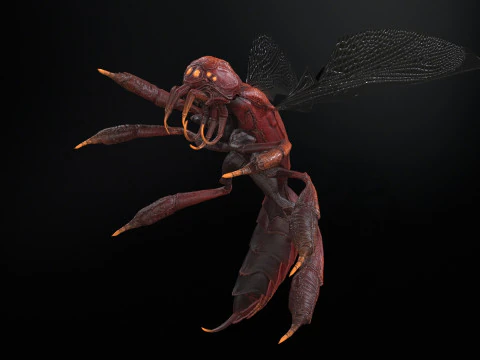 SpiderOsa 3D Model