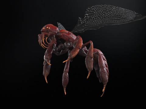 SpiderOsa Model 3D