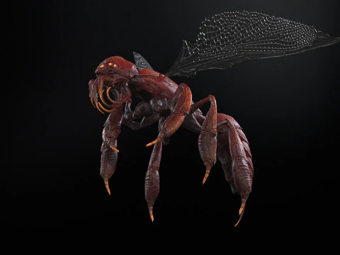 SpiderOsa 3D Model