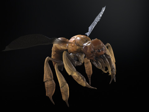 SpiderOsa Model 3D