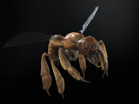 SpiderOsa 3D Model
