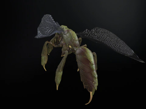 SpiderOsa 3D Model