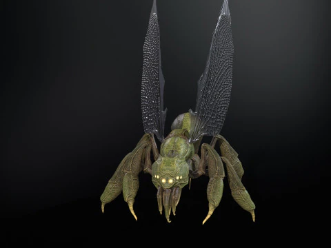 SpiderOsa 3D Model