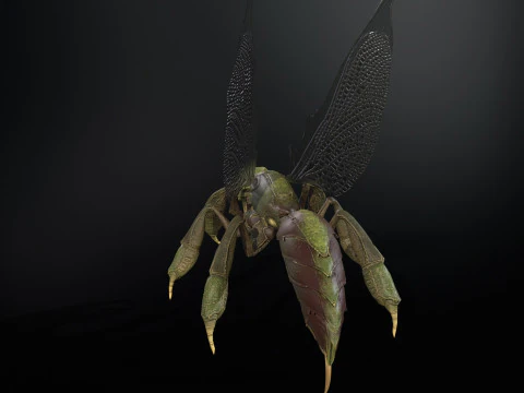 SpiderOsa 3D Model