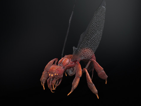 SpiderOsa Model 3D