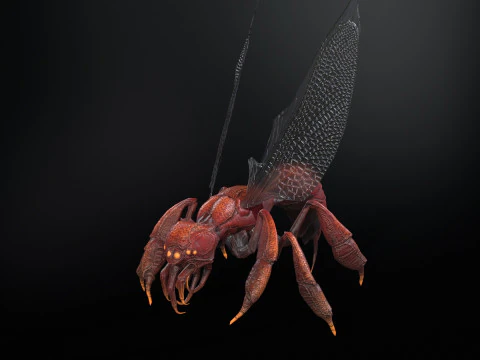 SpiderOsa 3D Model