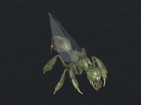 SpiderOsa 3D Model