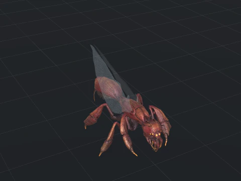 SpiderOsa 3D Model
