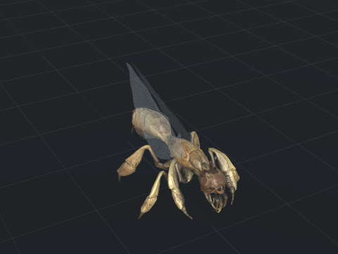 SpiderOsa Model 3D