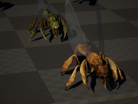 SpiderOsa Model 3D
