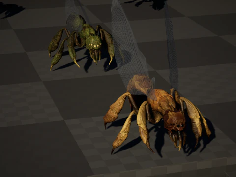 SpiderOsa 3D Model