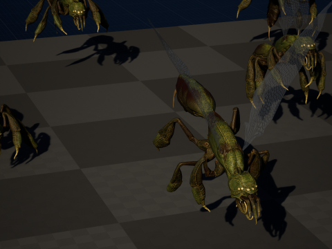 SpiderOsa Model 3D