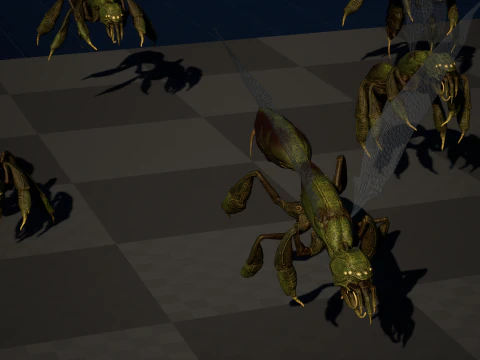 SpiderOsa 3D Model