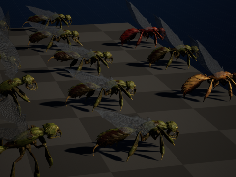 SpiderOsa Model 3D