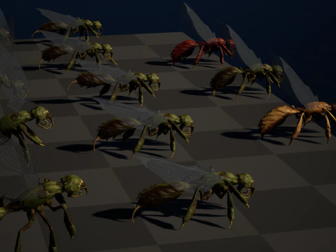 SpiderOsa 3D Model