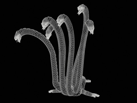 Hydra Model 3D