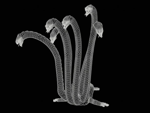 Hydra 3D Model