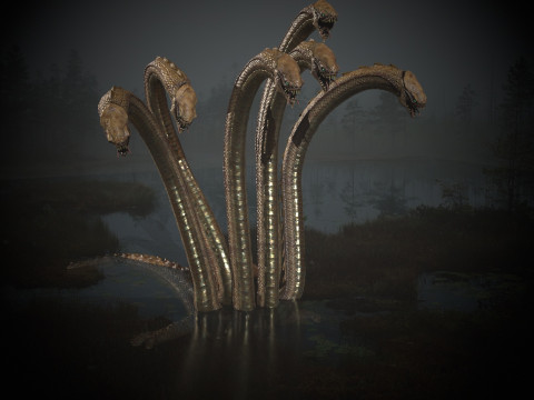 Hydra Model 3D