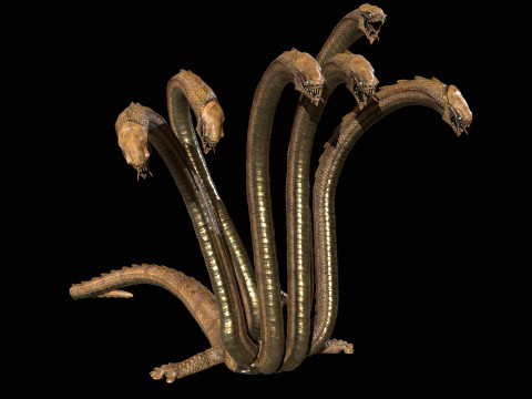 Hydra Model 3D