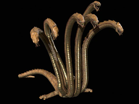 Hydra 3D Model