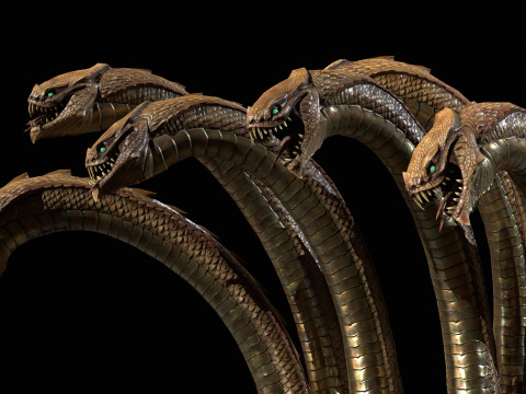 Hydra Model 3D
