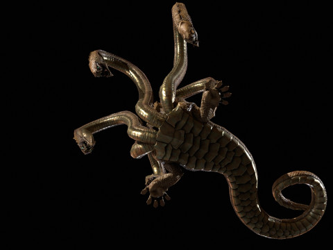 Hydra Model 3D