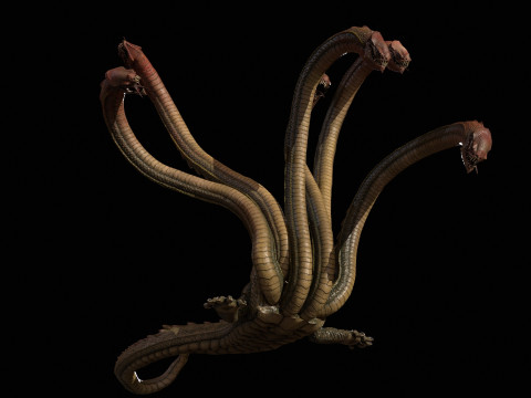 Hydra Model 3D