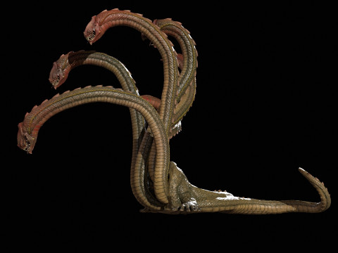 Hydra Model 3D