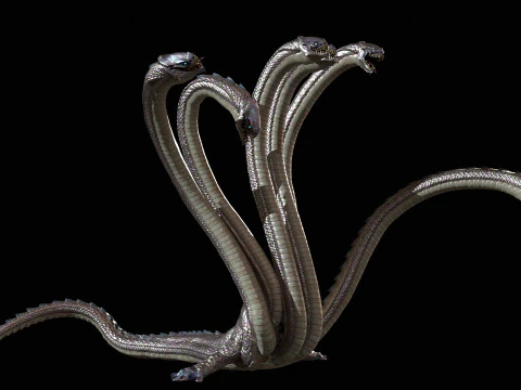 Hydra 3D Model
