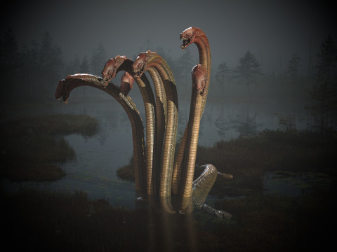 Hydra Model 3D