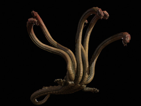 Hydra Model 3D
