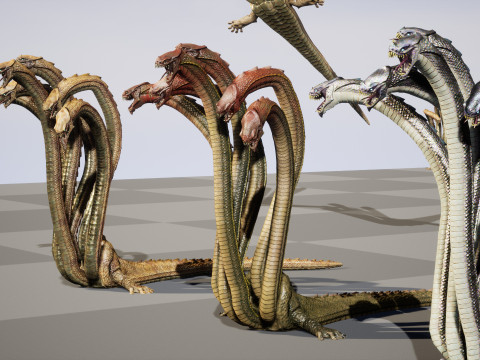 Hydra Model 3D