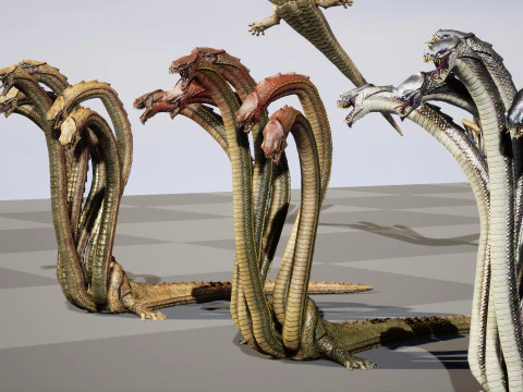 Hydra 3D Model