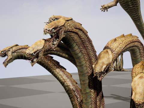 Hydra Model 3D