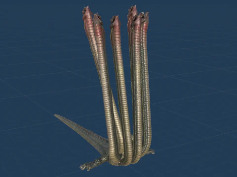 Hydra 3D Model