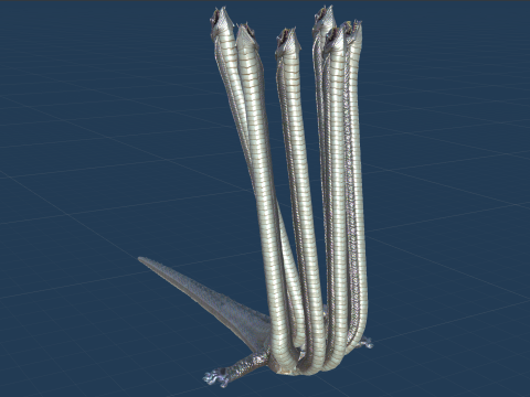 Hydra Model 3D