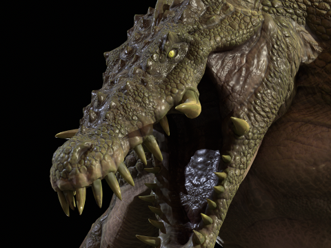 Croc 3D Model