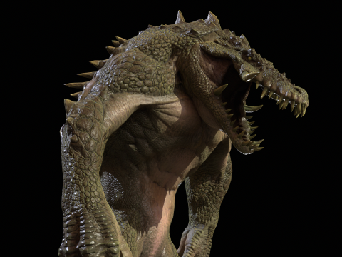 Croc 3D Model