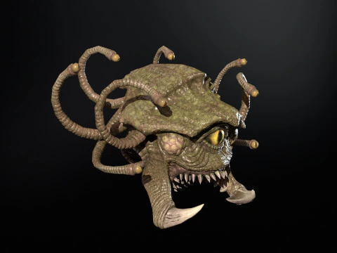 Espectador del mar Modelo 3D