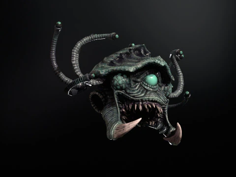 Espectador del mar Modelo 3D