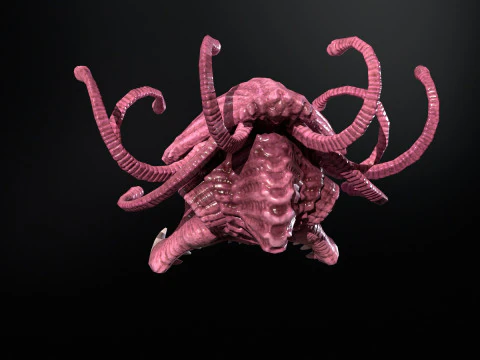 Espectador del mar Modelo 3D